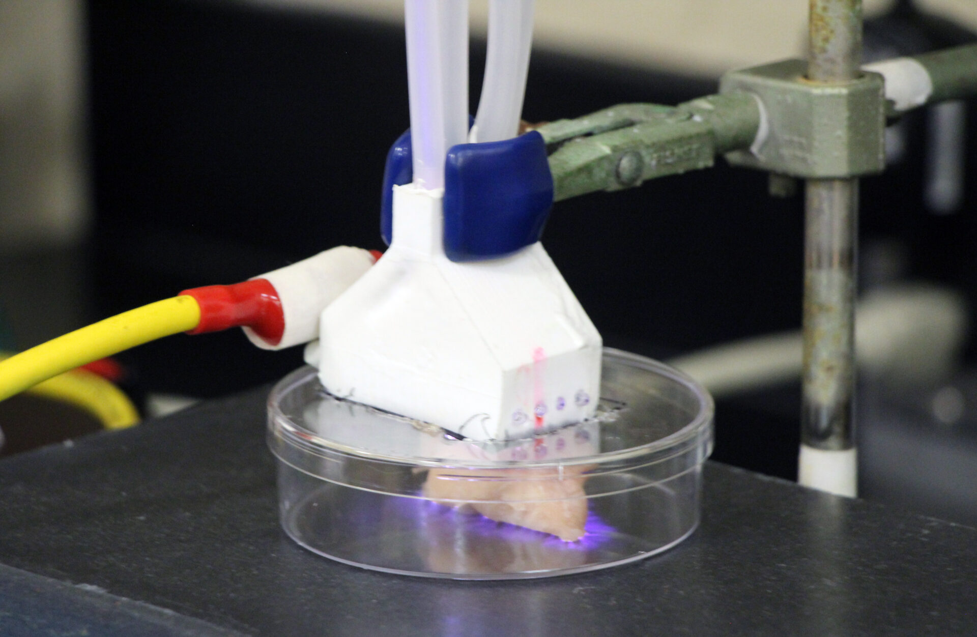 treating raw chicken skin to low temperature argon plasma