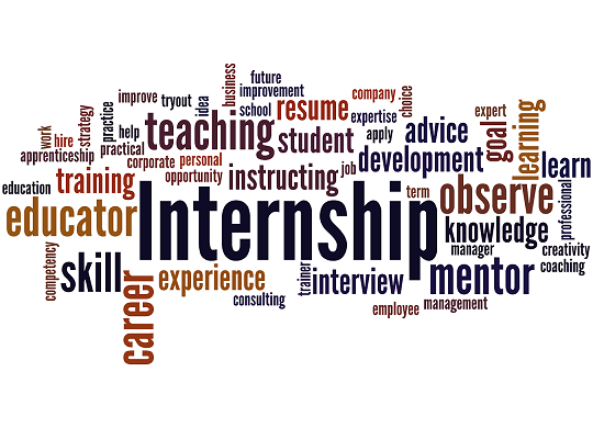 Mentors and organizations see benefits from FTPP sponsored internships